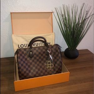 LOUIS VUITTON Damier Ebene Speedy 30